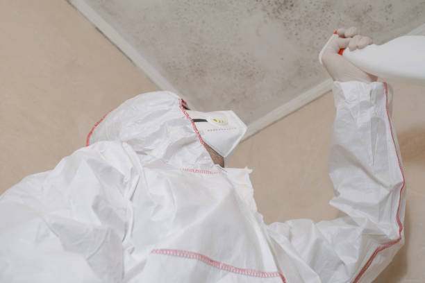 Best Commercial Mold Removal  in San Leandro, CA